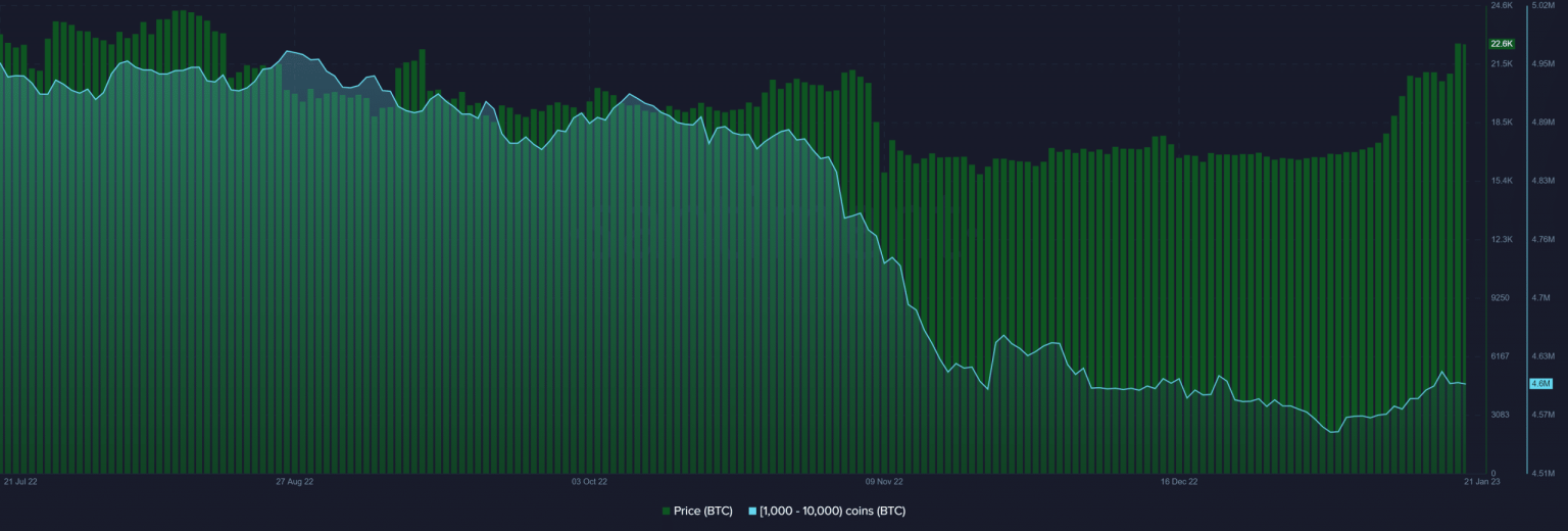 Bitcoin hits four-month high as whales step in, but is there trouble incoming?