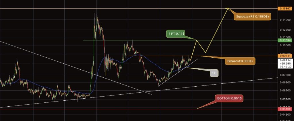 DOGE Price Rally – Will Dogecoin Hit $0.1 in the Next 48 Hours?