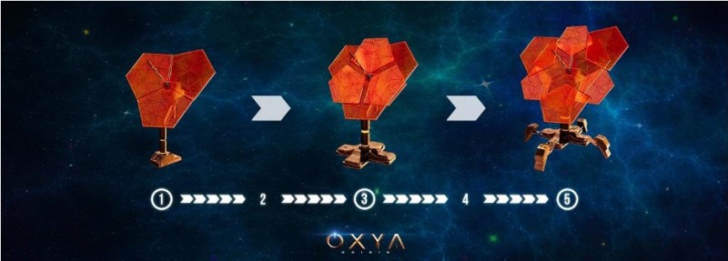 Oxya Origin
