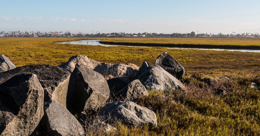 Vitalik Buterin's philanthropic fund donates 15M USDC to UC San Diego