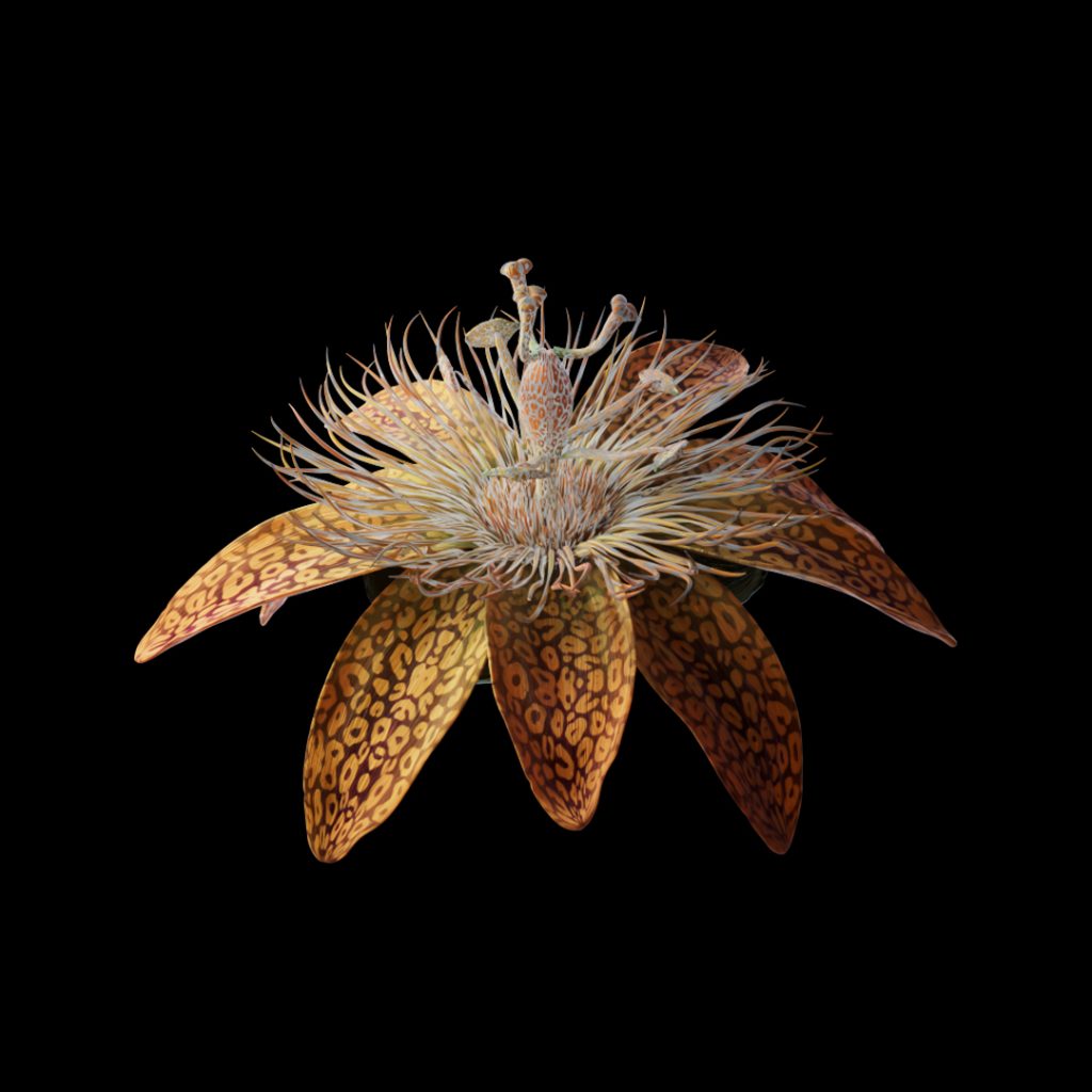 The metaverse is getting a greenhouse and garden full of NFT flowers