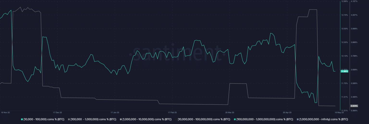 Bitcoin: Whales count counters the norm, but what does BTC get in return