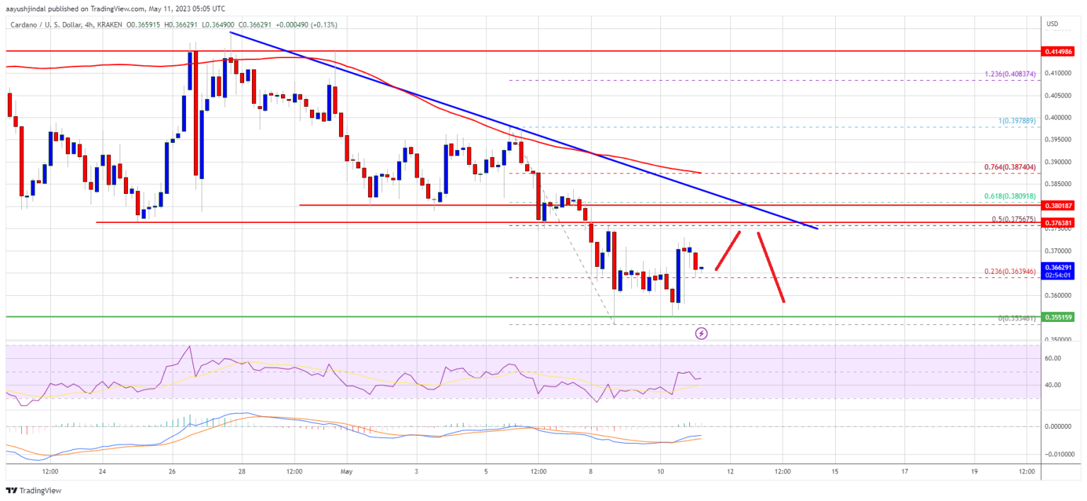 ADA Price (Cardano) Plunge To $0.32 On The Horizon As Bulls Show Weak Hands
