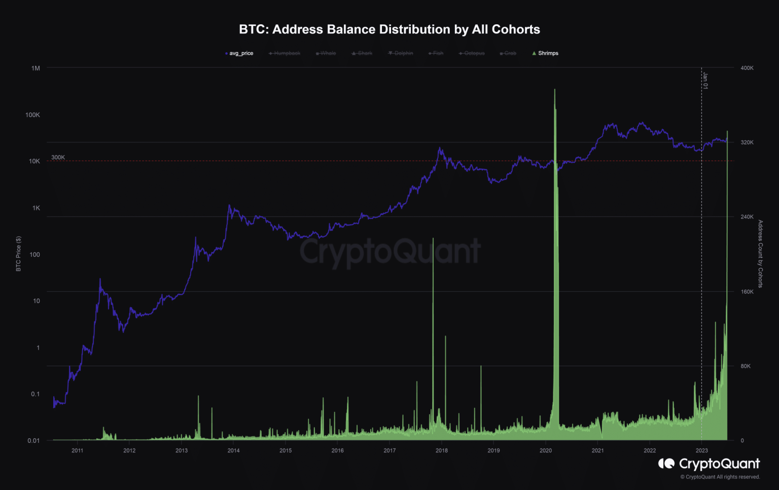 How Bitcoin shrimps emulated whales in aggressive accumulation