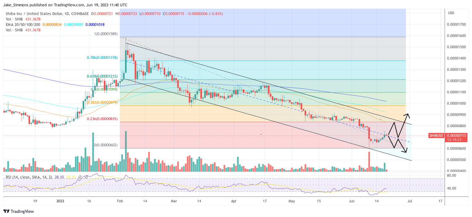 US Politician Cheers Shiba Inu Surge, Trend Reversal Still Pending