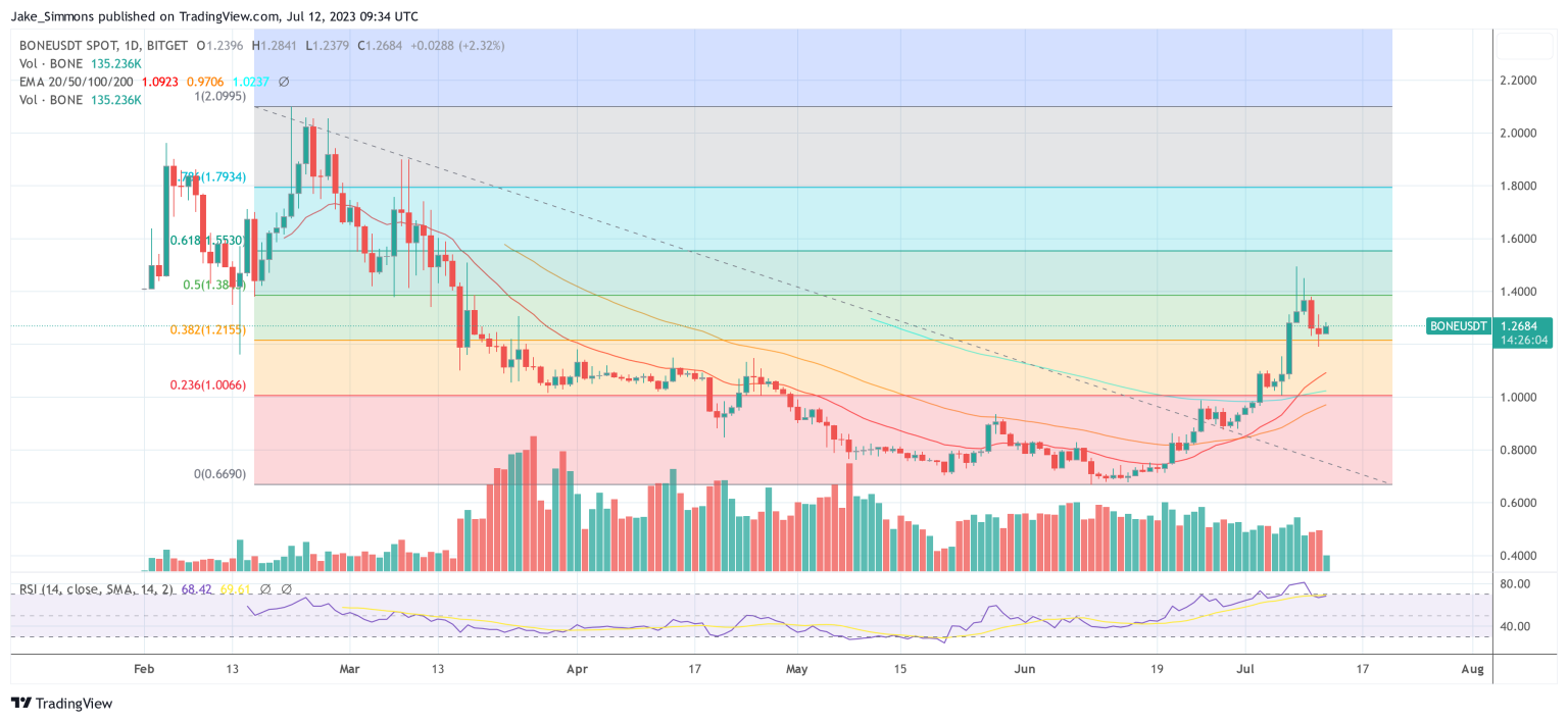 Shiba Inu Ecosystem Token BONE Surges 88%, Too Late To Buy?