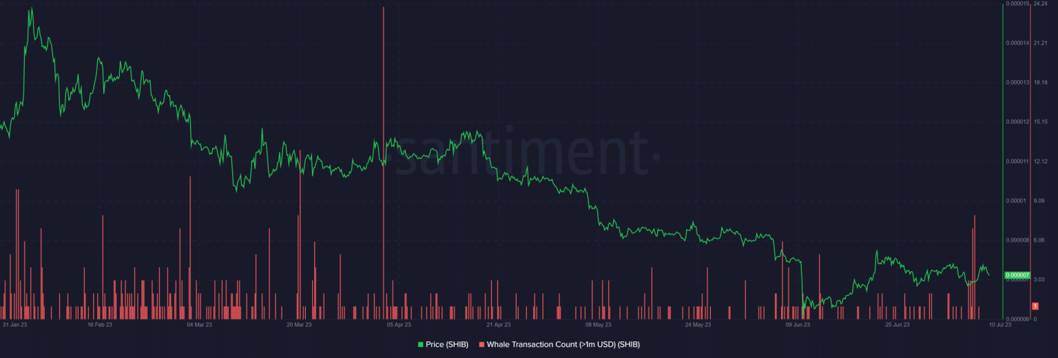 Shiba Inu, Compound share the spotlight as…