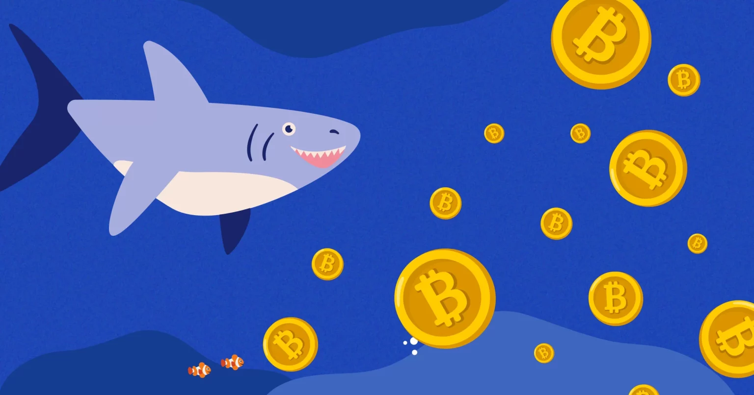 Crypto Market Outlook: Top 4 Crypto Assets Whales Are Buying