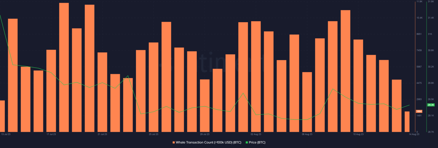 Bitcoin whales are on the move – Here’s why that could be important