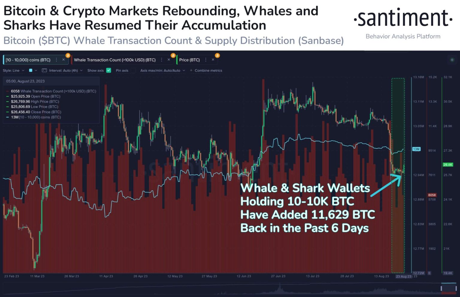 Bitcoin: As large transactions blow up, are whales buying the dip?