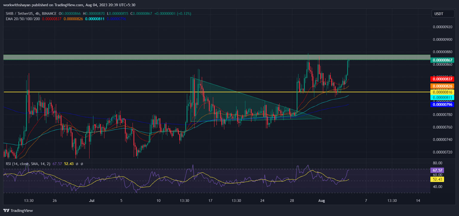 Shiba Inu’s Skyrocketing Rally Slows Down Near This Level! Here’s What’s Coming Next For SHIB Price