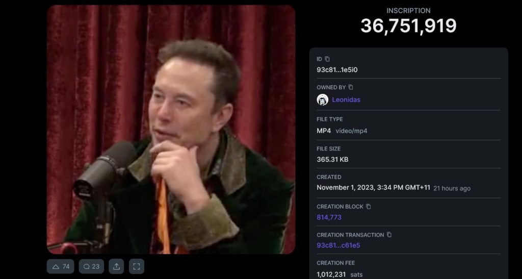 Here’s what Elon Musk thinks about NFTs