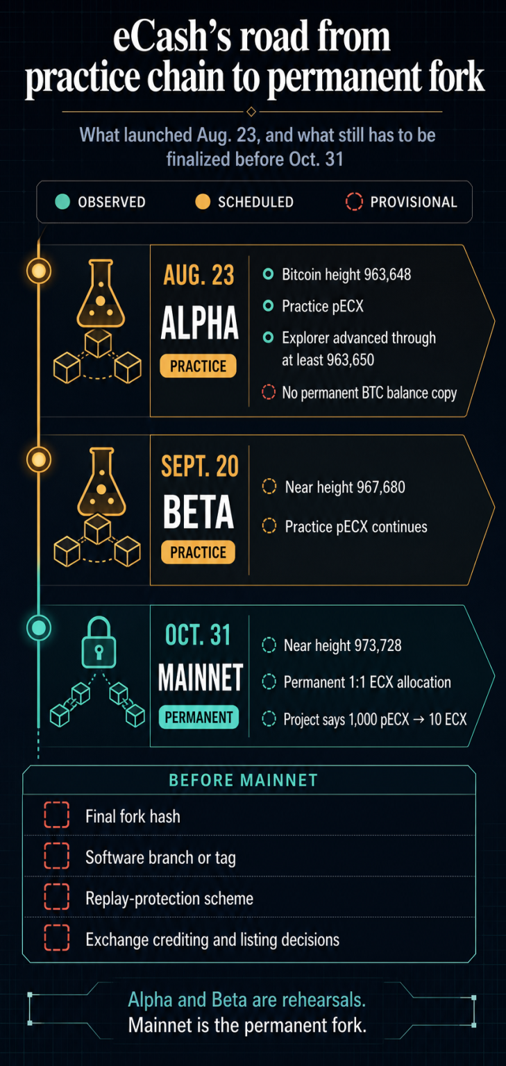 Bitcoin holders face unresolved fork risks as new eCash test chain launches ahead of October deadline