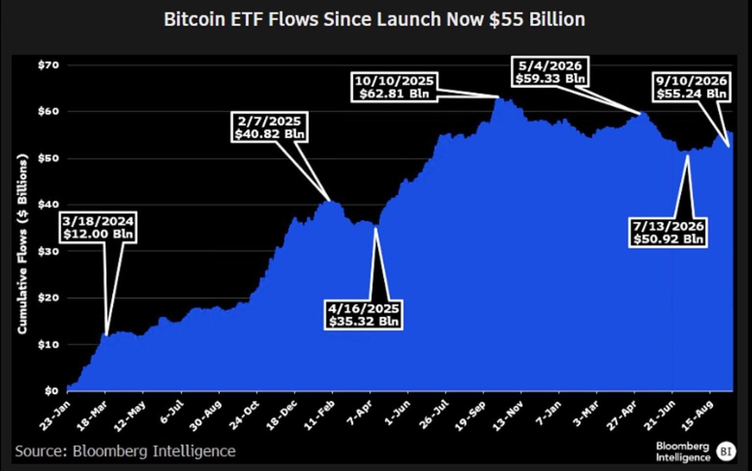 Bitcoin ETFs retain $55B after a 50% BTC drawdown – ‘Incredible intestinal fortitude’